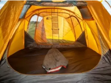 Couple Tent